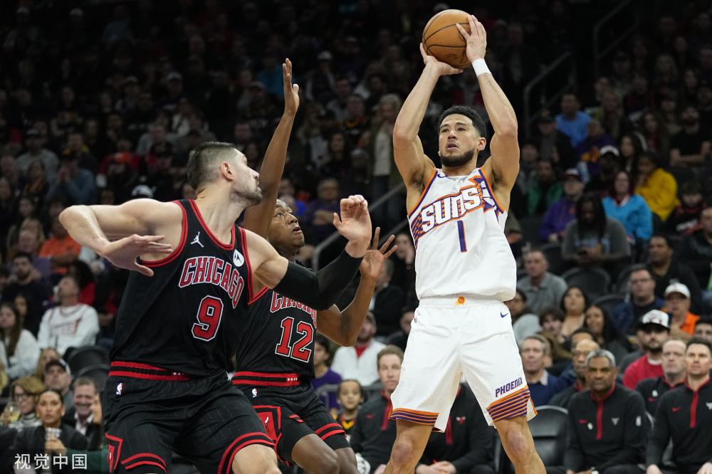 进入了斑马 进入了斑马